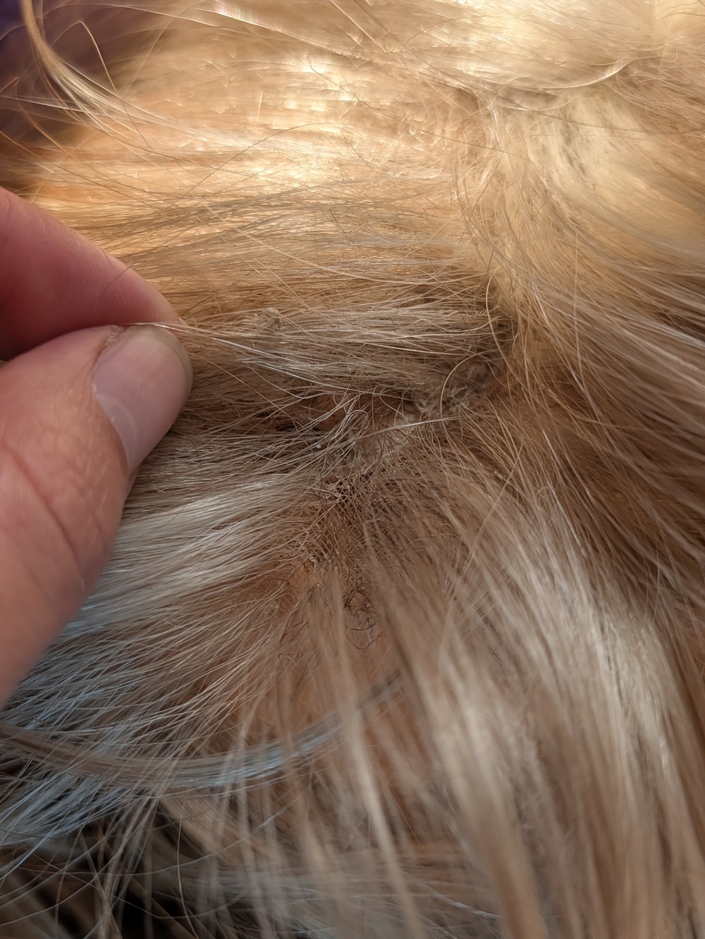 Wig Bundle - Picture 9 of 11
